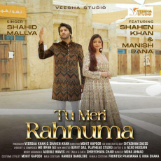 Tu Meri Rahnuma Mp3 Tu Meri Rahnuma Mp3