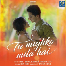 Tu Mujhko Mila Hai Mp3 Tu Mujhko Mila Hai Mp3